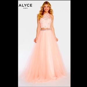 BRAND NEW ALYCE PARIS ROSEWATER PINK PROM DRESS